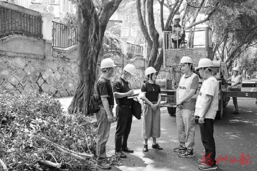 12345熱線為民解憂——  線上高頻巡查　線下實地督辦
