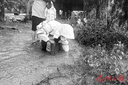 以迅應汛　主動出擊  ——排水尖兵守護榕城安全