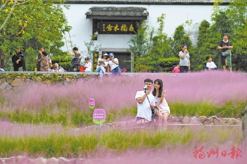 入園賞花、圍爐煮茶、泡溫泉、戶(hù)外徒步……  福州秋冬季旅游玩法“上線(xiàn)”