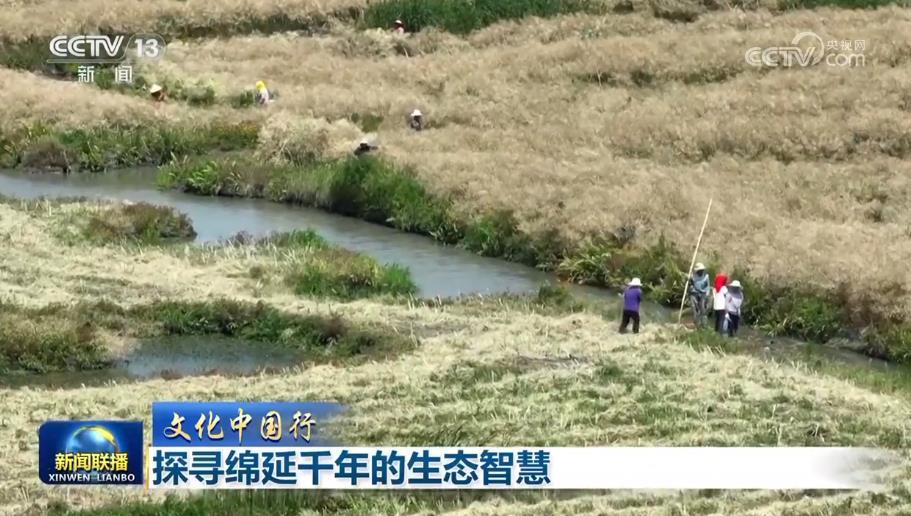 文化中國行丨探尋綿延千年的生態智慧