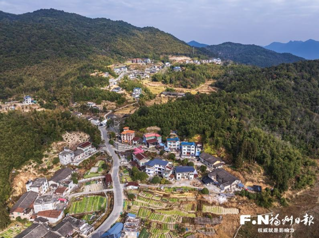 晉安：轉出生機 小村撂荒地披綠生金