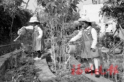新店中心幼兒園　讓孩子“樂享自然”