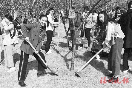 英才揮鍬培土　共植“人才林”