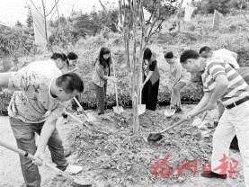 閩臺姐妹共植“海峽巾幗林”