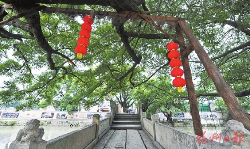 福地綠意滿　風景這邊好