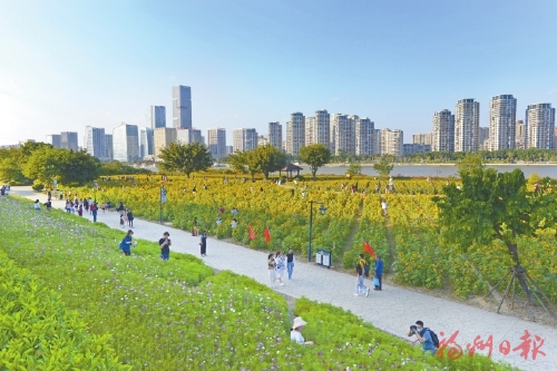 福地綠意滿　風景這邊好