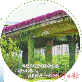 福地綠意滿　風景這邊好