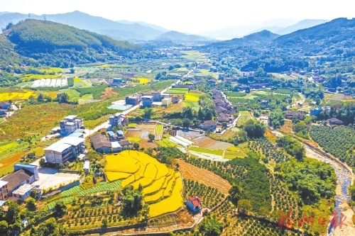 標本兼治除舊貌　鄉野大地換新顏