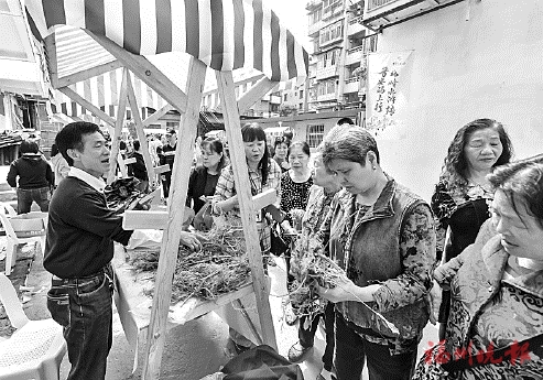 五月游晉安“碼上”享半價